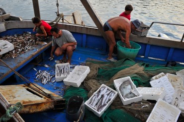Retour de pêche à Porto Palermo © Julien Pfyffer / OCEAN71 Magazine