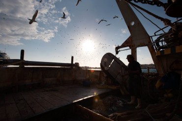 A local fisherman of Lampedusa is giving his bycatch to the happy seagulls © Philippe Henry / OCEAN71 Magazine